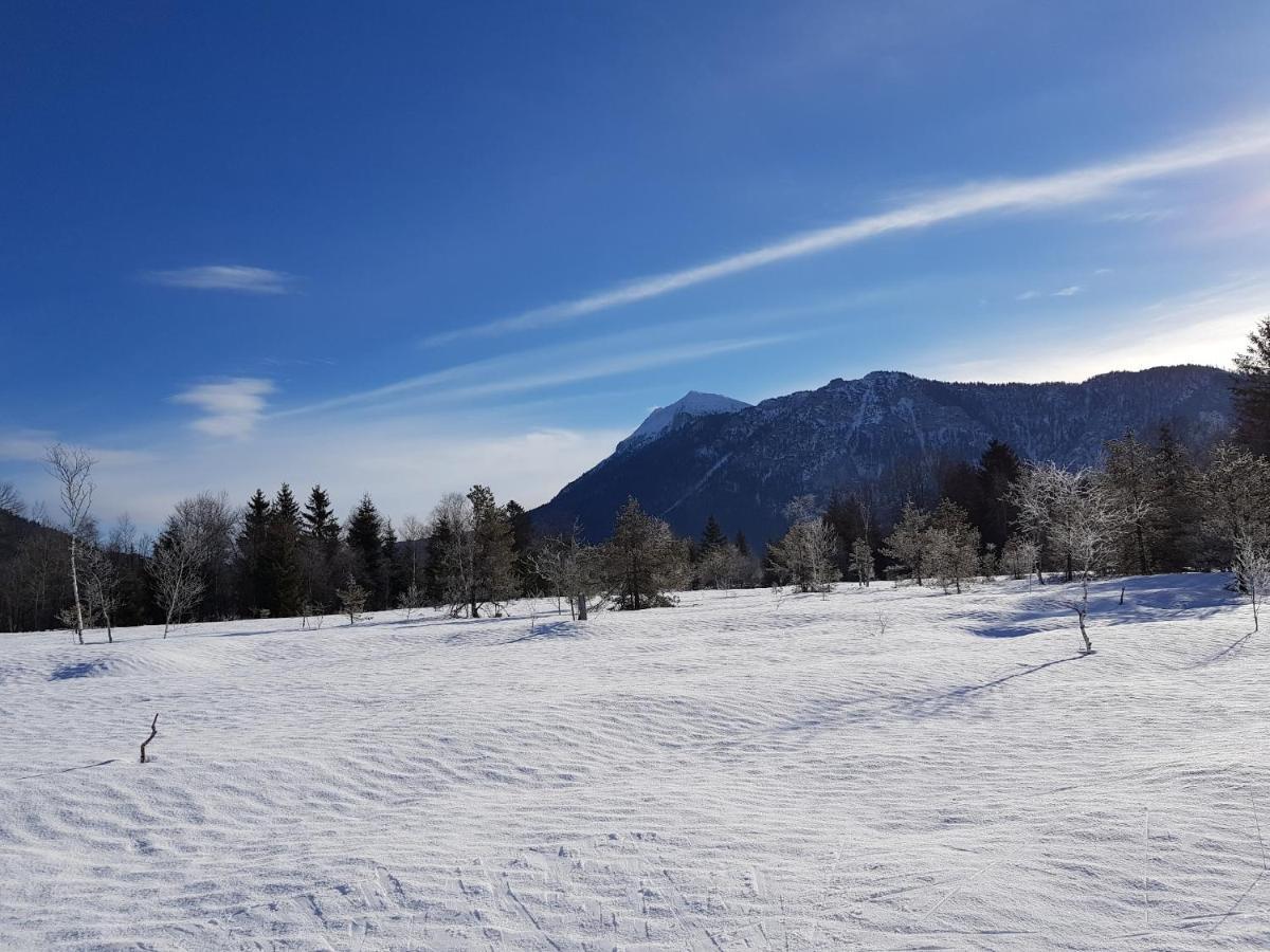 Zirbenstueberl - Chiemgau Karte Apartman Inzell Kültér fotó
